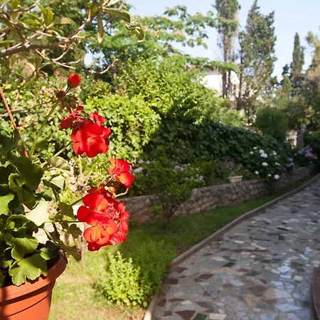 Bed & Breakfast Mario Krk Town